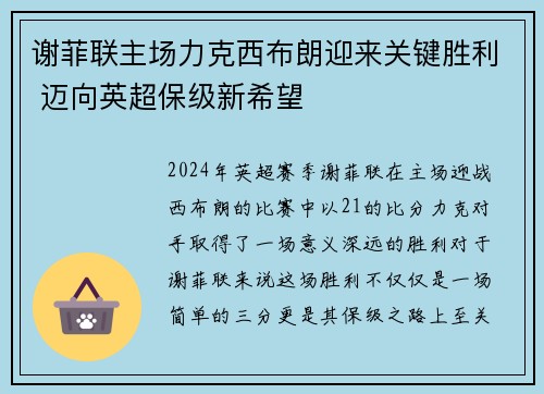 谢菲联主场力克西布朗迎来关键胜利 迈向英超保级新希望